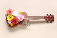 Ukulele │ Workshop für Einsteiger*innen